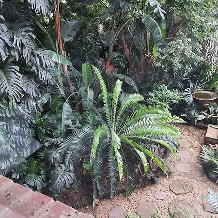 The Crooked Forest Pretoria-Noord エクステリア 写真